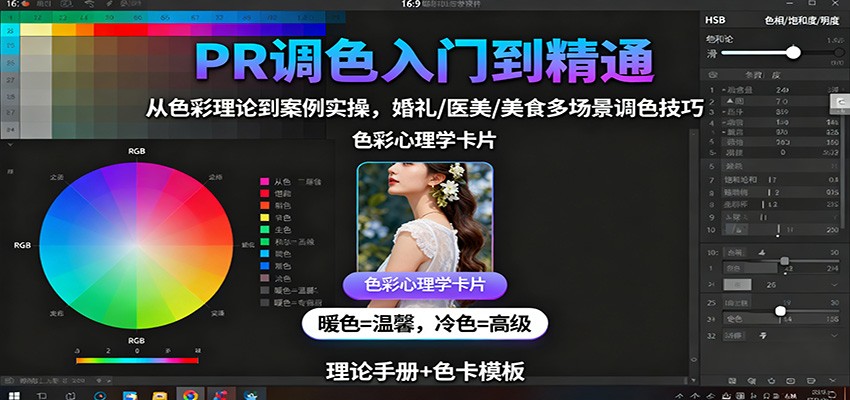 PR调色入门到精通：从色彩理论到案例实操，婚礼/医美/美食多场景调色技巧-鸿雁学习网