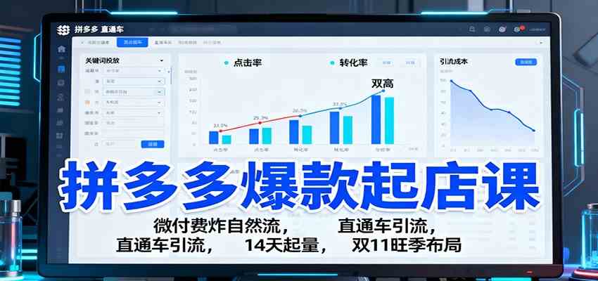 拼多多爆款起店课：微付费炸自然流，直通车引流，14天起量，双11旺季布局-鸿雁学习网