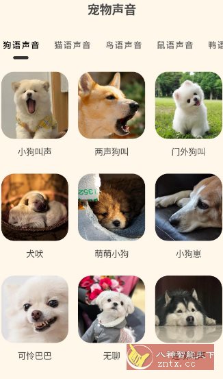 哆啦猫狗翻译器1.2.6高级版-鸿雁学习网