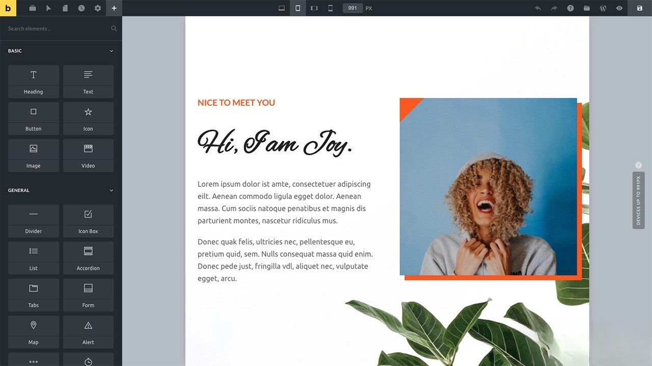 WordPress主题Bricks v1.9 破解版-鸿雁学习网
