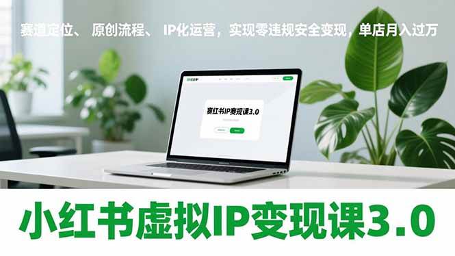 （17029期）小红书虚拟IP变现课3.0，赛道定位、原创流程、IP化运营，实现零违规安全变现，单店月入过万-鸿雁学习网