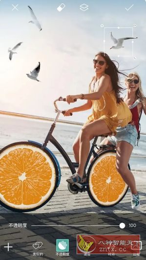 Picsart美易 v27.8.6高级版-鸿雁学习网