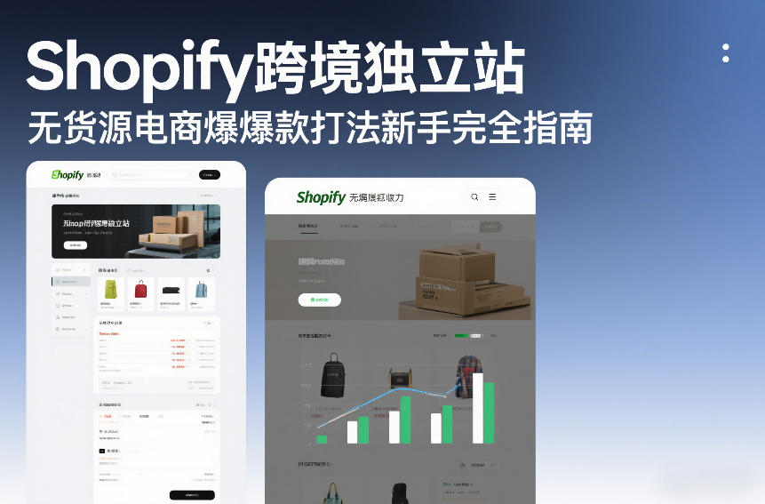 Shopify跨境独立站无货源电商爆款打法新手完全指南-鸿雁学习网