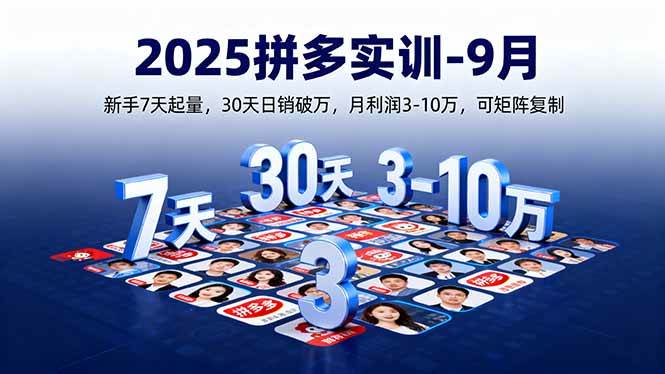 （16008期）2025拼多多实训-9月：新手7天起量,30天日销破万,月利润3-10万,可矩阵复制-鸿雁学习网