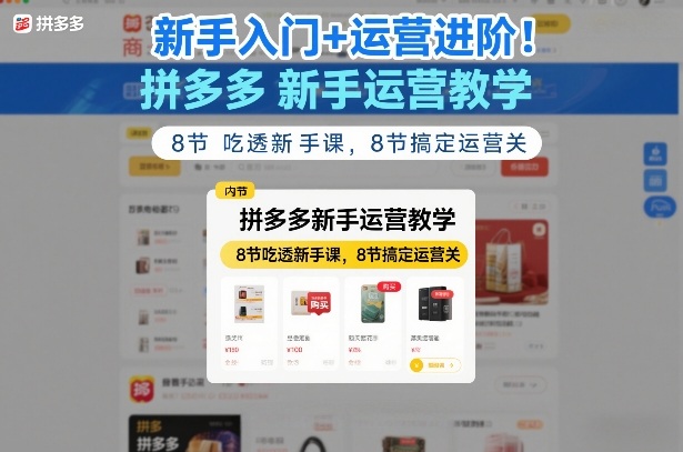 新手入门+运营进阶！拼多多新手运营教学，8节吃透新手课，8节搞定运营关-鸿雁学习网