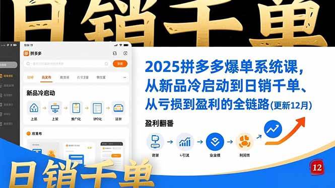 （16894期）2025拼多多爆单系统课，从新品冷启动到日销千单、从亏损到盈利的全链路（更新12月）-鸿雁学习网