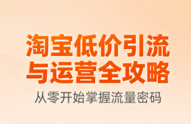 淘宝低价引流与运营全攻略(更新9月)-鸿雁学习网