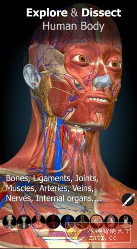 Anatomy Learning 3D解剖学v3.1.493高级版-鸿雁学习网