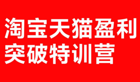 玺承·淘宝天猫盈利突破特训营(25年12月线下课)【音频+字幕】-鸿雁学习网