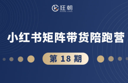 盗坤·抖音小红书视频号短视频带货与直播变现(11-18期)-鸿雁学习网