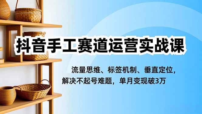 （16667期）抖音手工赛道运营实战课，流量思维、标签机制、垂直定位，解决不起号难题，单月变现破3万-鸿雁学习网