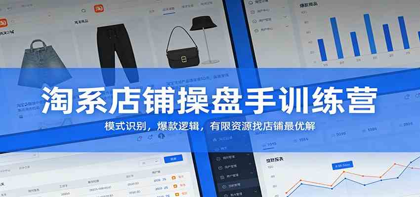 淘系店铺操盘手训练营：模式识别，爆款逻辑，有限资源找店铺最优解-鸿雁学习网