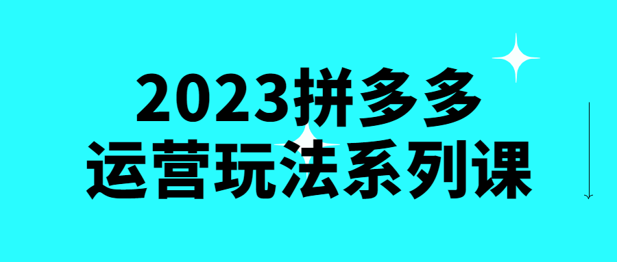 2023拼多多运营玩法系列课-鸿雁学习网