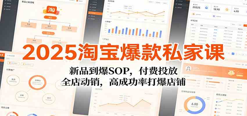 2025淘宝爆款私家课：新品到爆SOP，付费投放，全店动销，高成功率打爆店铺-鸿雁学习网