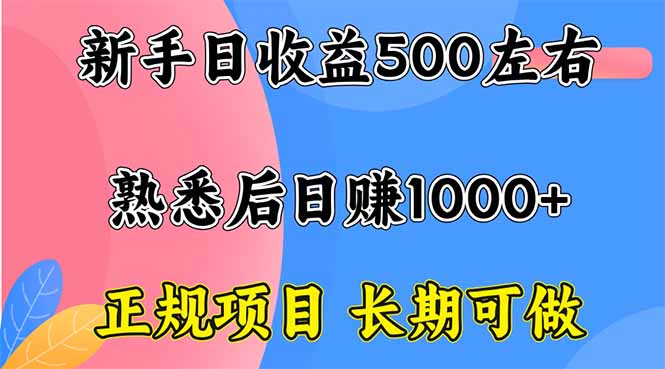 新手日收益500+ 正规项目 长期可做-鸿雁学习网