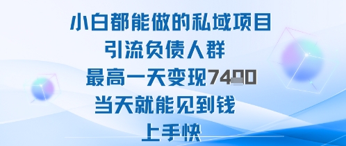2025年小白都能做的私域项目引流负债人群最高一天变现1k+高变现难度低当天就能见到钱上手快-鸿雁学习网