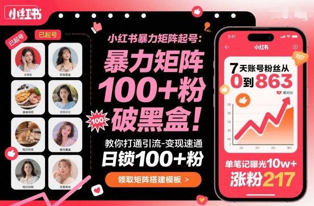 小红书暴力矩阵起号，教你打通引流-变现速通，日锁100+粉，破流量黑盒-鸿雁学习网