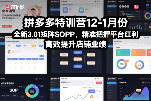 拼多多特训营12-1月份,全新3.01矩阵Sop,精准把握平台红利,高效提升店铺业绩 拼多多特训营12-1月份,全新3.01矩阵Sop,精准把握平台红利,高效提升店铺业绩