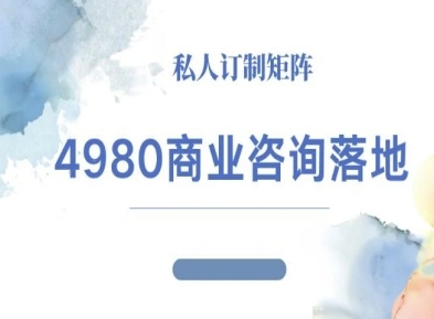 4980商业咨询师落地课程-ip运营高客单教程-鸿雁学习网