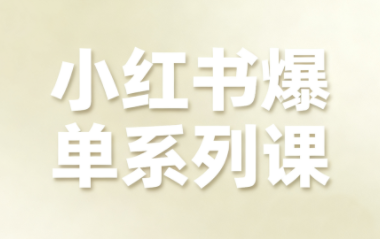 尼采老师·小红书爆单系列课-鸿雁学习网