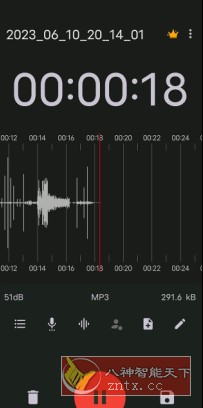 ASR Pro 录音机v545 专业版 ASR Pro 录音机v545 专业版