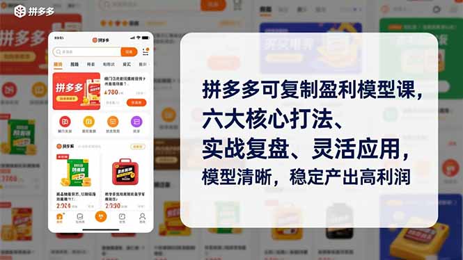拼多多可复制盈利模型课，六大核心打法、实战复盘、灵活应用，模型清晰，稳定产出高利润-鸿雁学习网