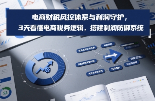 电商财税风控体系与利润守护，3天看懂电商税务逻辑，搭建利润防御系统-鸿雁学习网