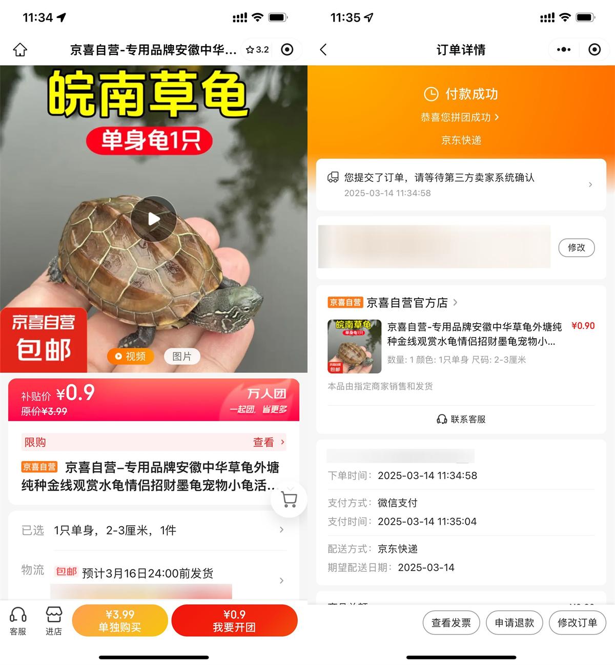 京东拼团0.9亓撸中华草龟1只-鸿雁学习网