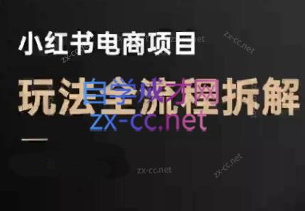 菲菲老师·小红书电商玩法(更新9月)-鸿雁学习网