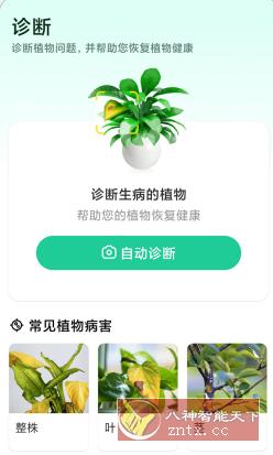 Plant Parent 植物养护v1.101高级版-鸿雁学习网