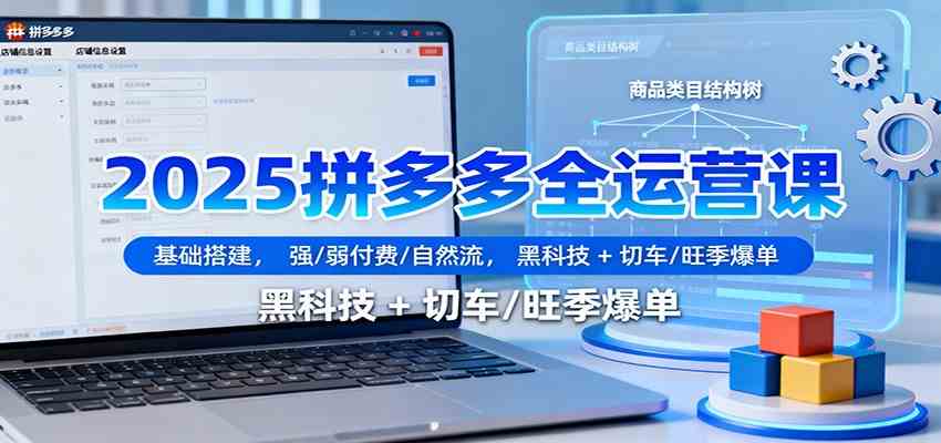 2025拼多多全运营课：基础搭建，强/弱付费/自然流，黑科技 + 切车/旺季爆单-鸿雁学习网