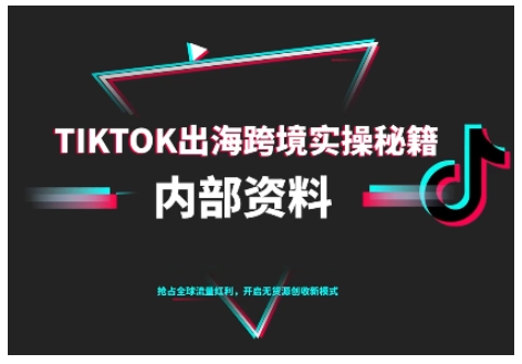 TikTok跨境电商0-1搭建运营，TK出海跨境实操秘籍（10月更新）-鸿雁学习网