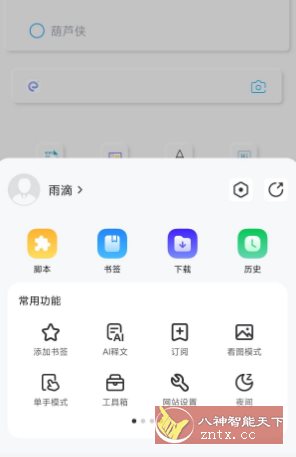 Rains浏览器3.0.4.7-鸿雁学习网
