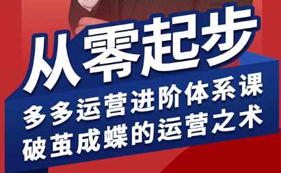 海神·拼多多运营进阶系统课(更新9月)-鸿雁学习网