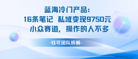 蓝海项目：16条笔记私域变现9750米小众赛道操作的人不多-鸿雁学习网