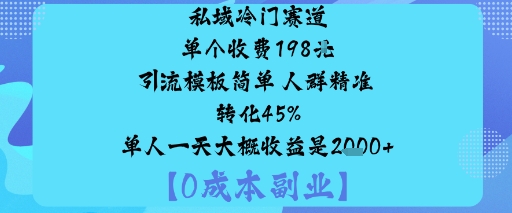私域冷门赛道:单个收费198米引流模板简单人群精准转化45%单人一天大概收益是1k+-鸿雁学习网