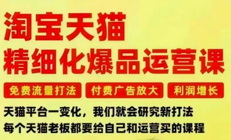 淘宝天猫精细化爆品运营课，免费流量打法-付费广告放大-利润增长-三大核心痛点，一次全部解决-鸿雁学习网