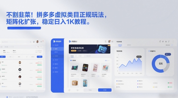 不割韭菜！拼多多虚拟类目正规玩法，矩阵化扩张，稳定日入1K教程【揭秘】-鸿雁学习网