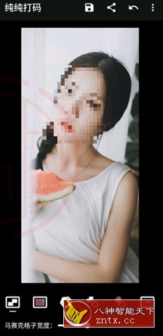 纯纯打码v4.10.2高级版-鸿雁学习网