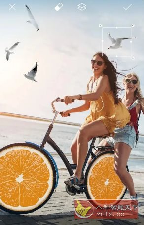 Picsart美易 v28.4.5 高级版-鸿雁学习网