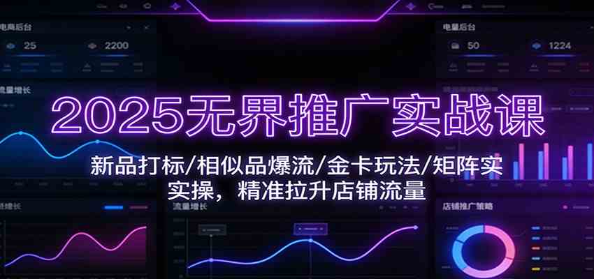 2025无界推广实战课：新品打标/相似品爆流/金卡玩法/矩阵实操，精准拉升店铺流量-鸿雁学习网