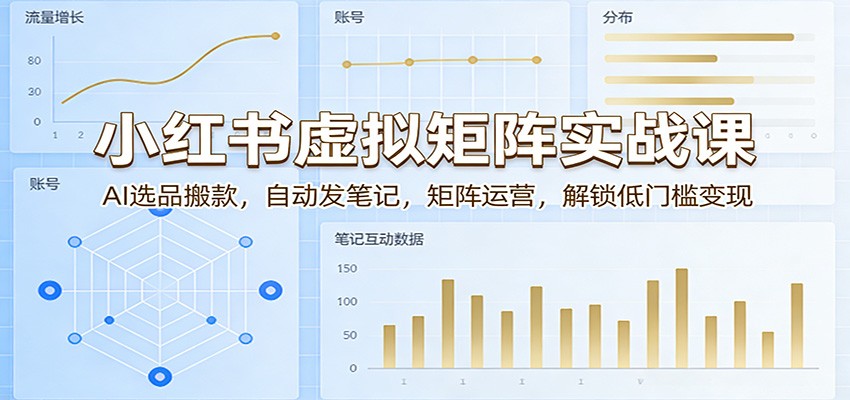 小红书虚拟矩阵实战课：AI选品搬款，自动发笔记，矩阵运营，解锁低门槛变现-鸿雁学习网
