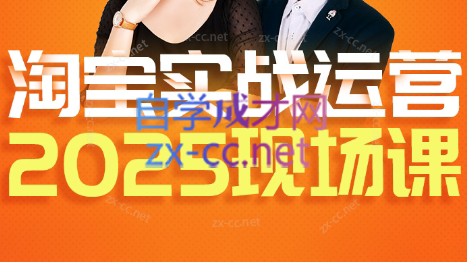 推易·淘宝全套运营现场课程(更新12月)-鸿雁学习网
