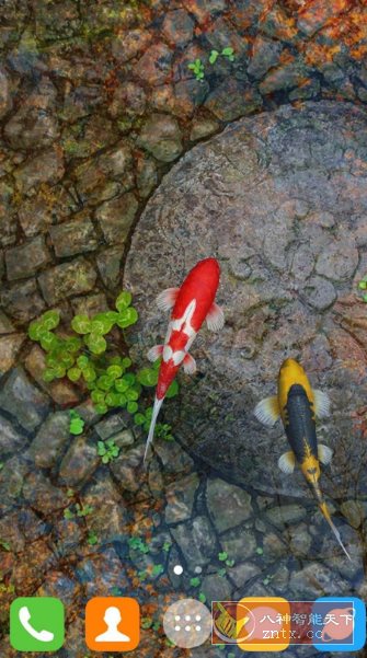 Water Garden Live Wallpaper 锦鲤3D动态壁纸2.05专业版-鸿雁学习网