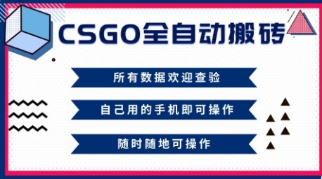 CSGO全自动搬砖，年底钱回家好项目，当天可拿到结果，新手小白轻松月入1W+【揭秘】-鸿雁学习网