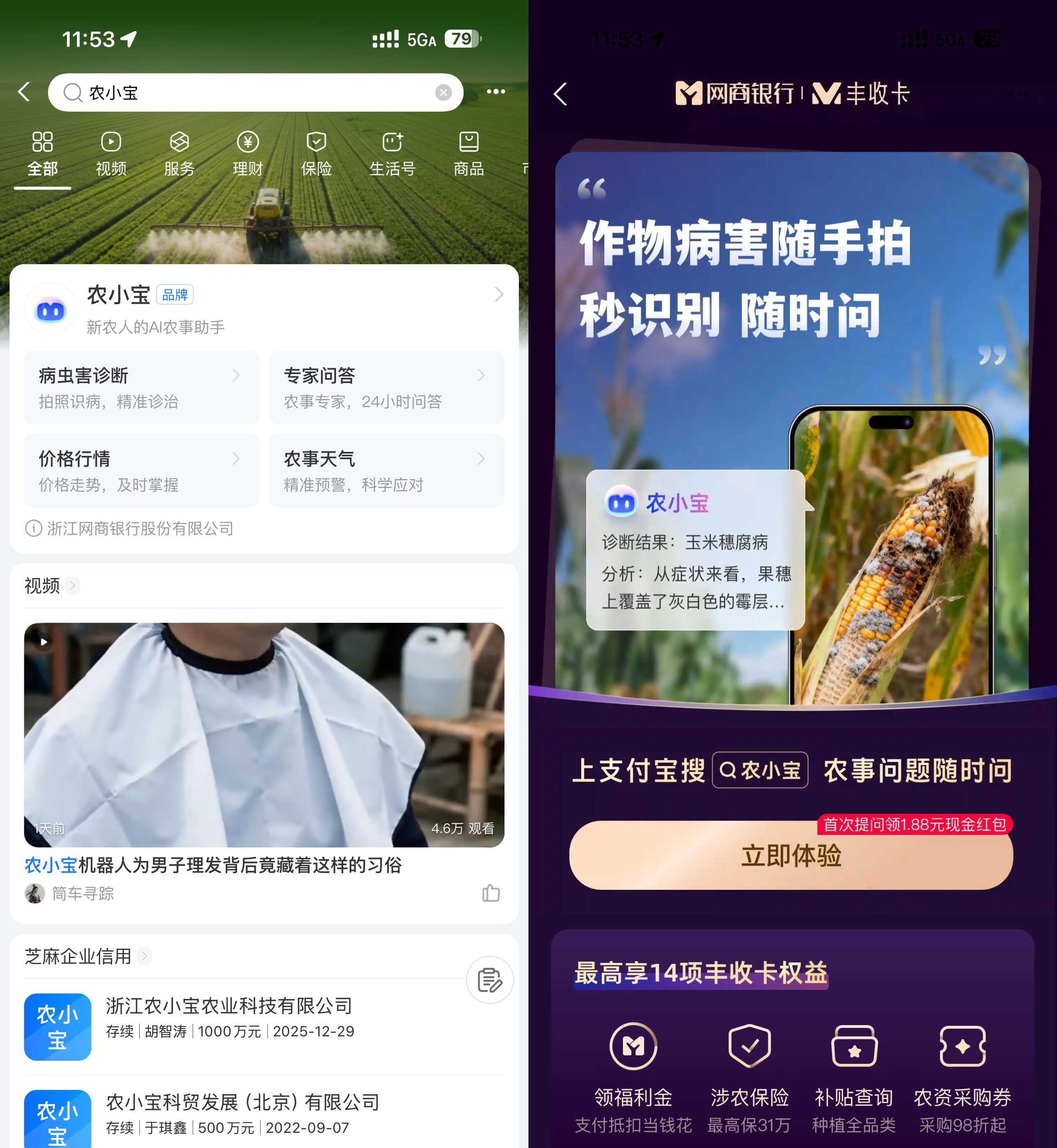 支付宝农小宝首次提问得1.88亓-鸿雁学习网