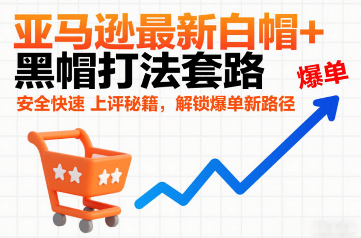 亚马逊最新白帽+黑帽打法套路，安全快速上评秘籍，解锁爆单新路径-鸿雁学习网