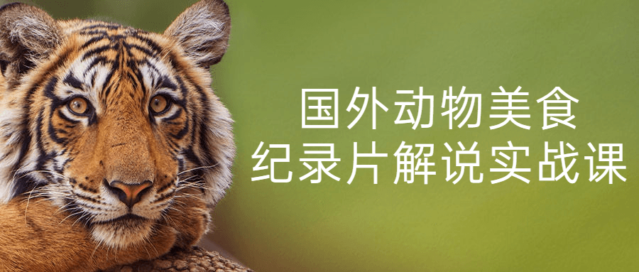 国外动物美食纪录片解说实战课-鸿雁学习网