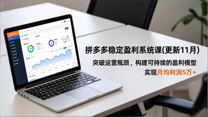 （16641期）拼多多稳定盈利系统课(更新11月)，突破运营瓶颈，构建可持续的盈利模型，实现月均利润5万+-鸿雁学习网