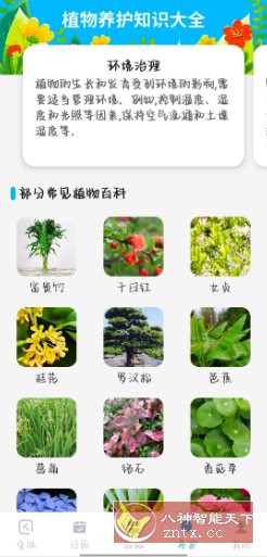 手机文字放大v1.0.1高级版-鸿雁学习网